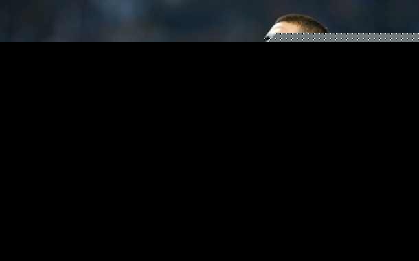  AC米兰德比战险胜国米，吉鲁头槌定乾坤  